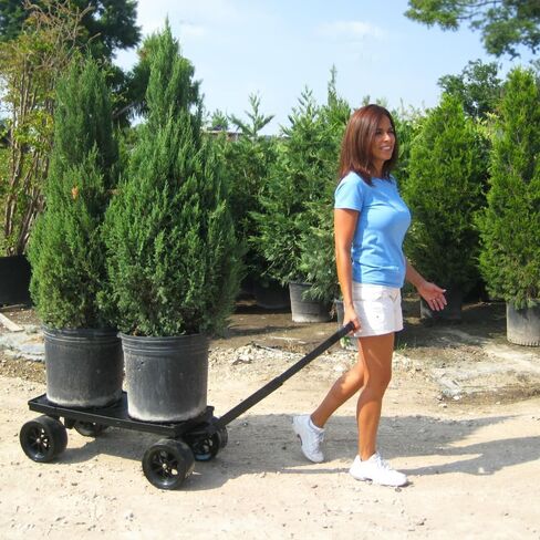 Mighty Max Cart Platform Hand Truck & Moving Dolly, Black - 250 lb Capacity (Flatbed Only) 100% USA Made in Saudi Arabia