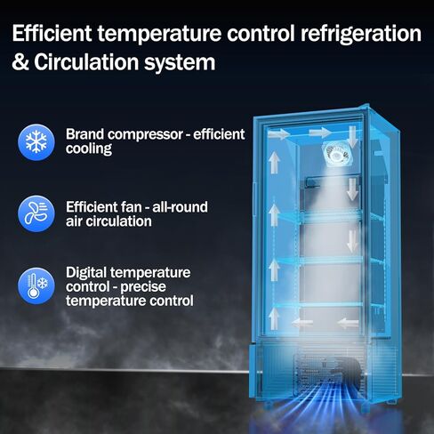 6.5 Cu.Ft Commercial Beverage Refrigerator Glass Door Upright Drink Cooler Display Fridge with Adjustable Shelves and LED Light for Restaurant Bar Store Office in Kuwait