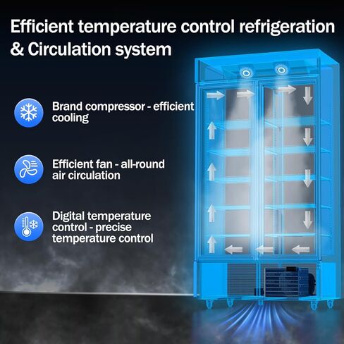 6.5 Cu.ft Beverage Beverage Beverage Door Glass Door مستقيم مع عرض ثلاجة مع أرفف قابلة للتعديل وضوء LED لمكتب متجر مطعم Store Store in Saudi Arabia