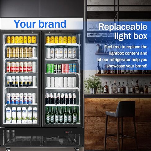 6.5 Cu.ft Beverage Beverage Beverage Door Glass Door مستقيم مع عرض ثلاجة مع أرفف قابلة للتعديل وضوء LED لمكتب متجر مطعم Store Store in Saudi Arabia