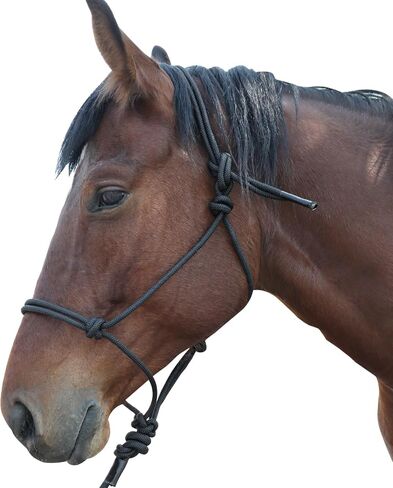 Horse Rope Training Halter -Halter Cord - Used by Famous Trainers in Saudi Arabia