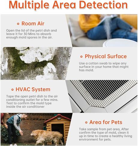 مجموعة اختبار العفن للمنزل ضمن 5 اختبارات فردية ، اختبار HVAC ، الأسطح المنزلية ، مجموعات اختبار جودة الهواء الداخلية ، اختبار الجلد ، مجموعة اختبار الكشف عن القالب الأسود DIY ، تحليل مختبر دليل تحديد العفن الخالي من in Saudi Arabia
