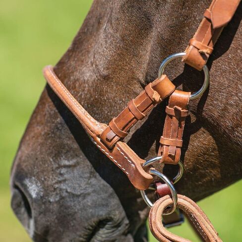 Schneiders Billy Royal Rolled Nose Leather Side Pull | Bitless Training Aid | Ideal for Non-Bit Ready Horses | Hand-Rubbed Heavyweight Harness Leather | Adjustable for Comfort | Equestrian Essential in Saudi Arabia