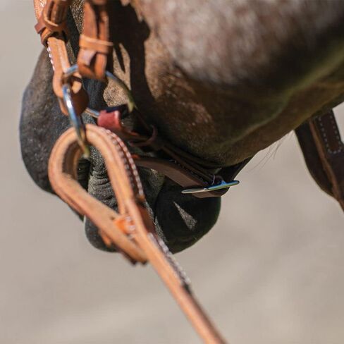 Schneiders Billy Royal Rolled Nose Leather Side Pull | Bitless Training Aid | Ideal for Non-Bit Ready Horses | Hand-Rubbed Heavyweight Harness Leather | Adjustable for Comfort | Equestrian Essential in Saudi Arabia
