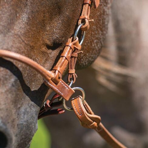 Schneiders Billy Royal Rolled Nose Leather Side Pull | Bitless Training Aid | Ideal for Non-Bit Ready Horses | Hand-Rubbed Heavyweight Harness Leather | Adjustable for Comfort | Equestrian Essential in Saudi Arabia