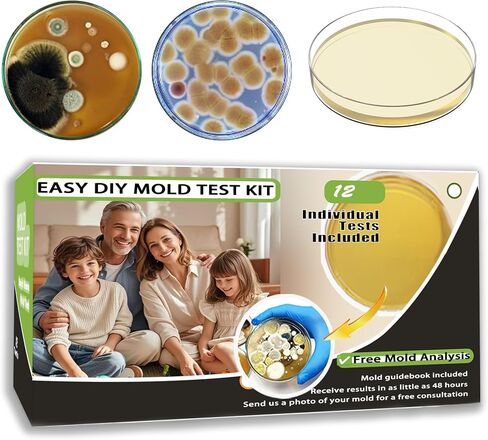 Mold Test Kit for Home 6 Simple Detection Tests, HVAC System, Home Surfaces, Indoor Air Quality Testing Kits, DIY Black Mold Detector at Home, Include Detailed Mold Identification Guide, Air Tester in Kuwait