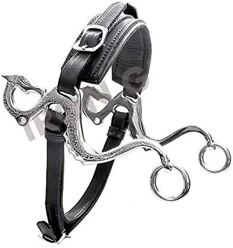 Dragon Hackamore Bitless Horse Bit English Western Western Leather Black in Kuwait