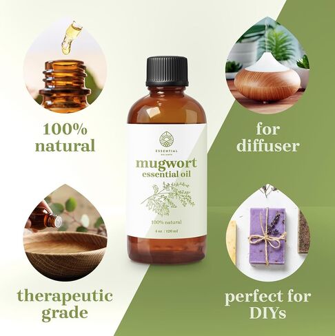 Mugwort Oil - Premium Grade 100% Undiluted Essential Oil (1 oz.) | for Aromatherapy, Soaps, Lotions, & Candles | Vegan & Cruelty Free in Saudi Arabia