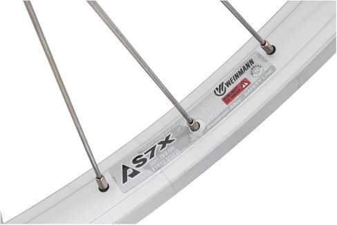 Wheel Master Rear 26 x 1.75/2.125, Silver, Alloy, B/O, 5/6/7 sp, 36H, SS14g Spokes in Saudi Arabia