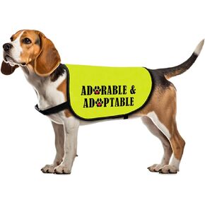 Adoption Dog Jacket Vest Adorable and Adoptable Dog Harness High Visibility Rescue Slogan Vest (Adorable-Large)