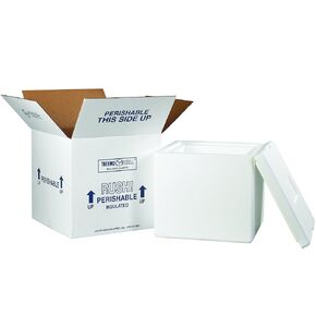 BF230C Insulated Shipping Box with Foam Container, 12" x 12" x 11 1/2", Medium, White