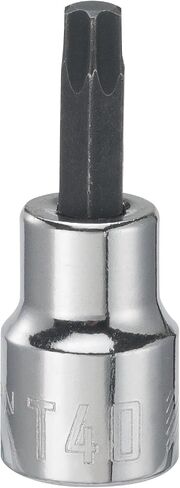 Craftsman Torx Bit Socket, 3/8-in. Drive, T45 (CMMT42666) in Saudi Arabia