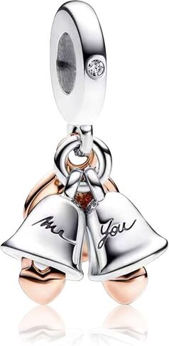 925 Sterling Silver Roses Forever Love Stethoscope & Heartbeat Nurse Padlock Turtle Charms Bracelet Necklace Heart Clip Beads Jewellery Gift for Women Girls at Valentine's Day Mother's Day in Saudi Arabia