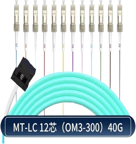 MTP/MT-MPO-LC الألياف البصرية MT MALE/أنثى 10 جيجابت 12-CORE 24-CORE OM3 BUNDLE 40G/100G JUMPER (5M ، MT 12C OM4 100G) in Saudi Arabia