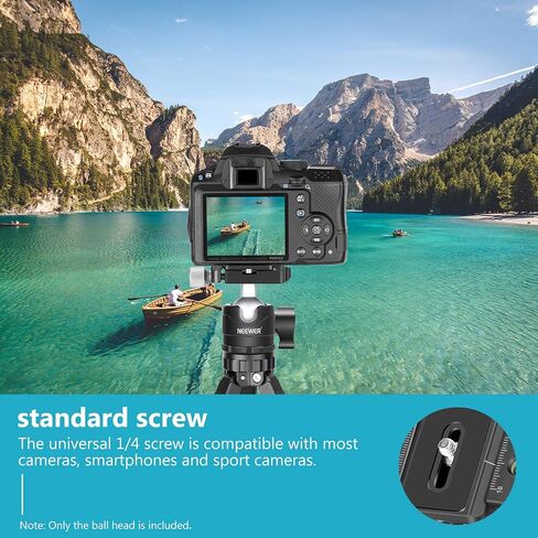 NEEWER Tripod Head, 360° Rotating Panoramic Ball Head with 1/4" Quick Shoe Plate for Tripod Monopod Slider DSLR Camera Camcorder, Max Load up to 5kg/11lb – GM28 in Saudi Arabia