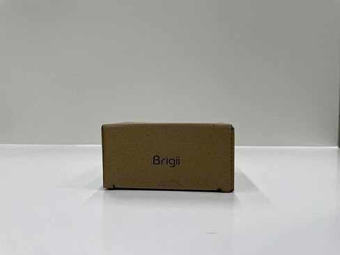 Brigii M-series HEPA Filter only for Handheld Vacuum, Mini Vacuum M1/M2 pack of 4Pcs in Saudi Arabia