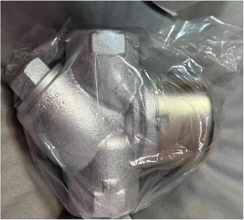 Steam Trap TD-10NA DN20 in Saudi Arabia