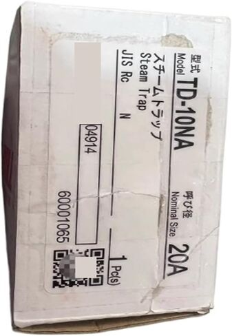 Steam Trap TD-10NA DN20 in Saudi Arabia