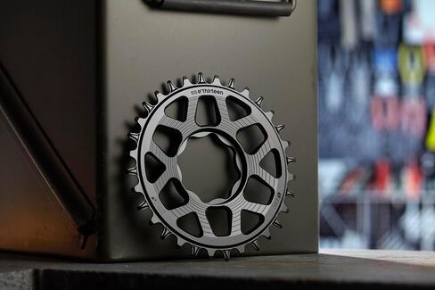 e*thirteen Helix R e*spec eMTB Chainring Compatible with TQ HPR50, 12mm Offset in Kuwait