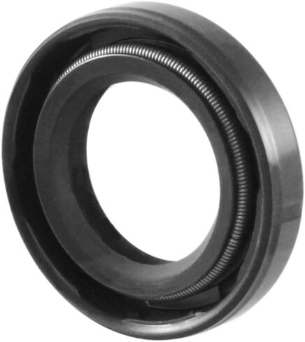 EAI OIL SEAL 15 مم × 25 مم × 5 مم TC شفة مزدوجة ث/الربيع. حالة معدنية مع طلاء المطاط النتريل in Saudi Arabia