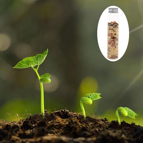 أنابيب اختبار البلاستيك ، 50 حزمة 115 مل اختبار أنابيب اختبار مسطحة أنابيب اختبار بلاستيكية مع أغطية المسمار ، 30 × 150 مم ، مسارات ، حاويات كبيرة قابلة لإعادة الاستخدام لملح الحمام ، تخزين الحلوى ، الحرف اليدوية (الفضة) in Kuwait