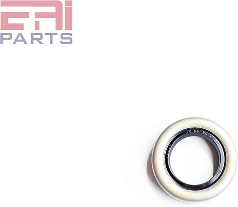 EAI OIL SEAL 0.625 "x1.000" x0.250 "TB Double Lip W/Spring 5/8" X1 " in Saudi Arabia