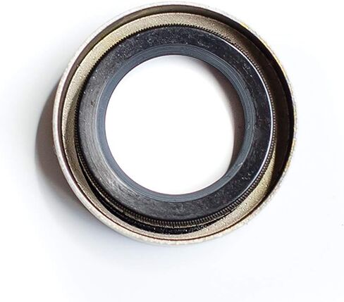 EAI OIL SEAL 0.625 "x1.000" x0.250 "TB Double Lip W/Spring 5/8" X1 " in Saudi Arabia
