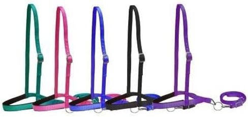 Showman Pony Size Size Nylon Nylon Bandband Tie أسفل W/حزام (أسود) in Saudi Arabia