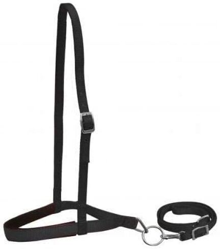 Showman Pony Size Size Nylon Nylon Bandband Tie أسفل W/حزام (أسود) in Saudi Arabia