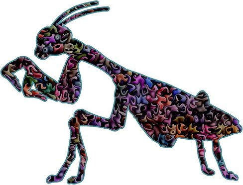 cafepress تصلي ملصقا مصد سيارة مصد أوضار. in Kuwait