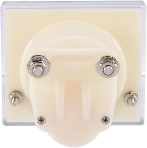 85C1 ثنائي الاتجاه DC Voltmeter 64 * 56mm (150V) in Saudi Arabia