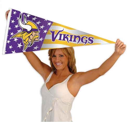 Minnesota Vikings Nation USA Americana Stars and Stripes Pennant Banner Flag in Saudi Arabia