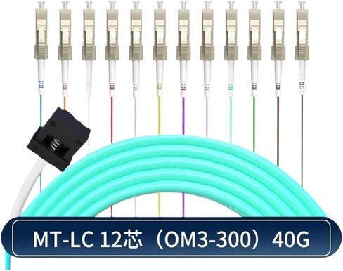 Fiber Optic Jumper MTP/MT-MPO-LC MT Male/Female Multimode 10 Gigabit 12 cores 24 cores OM3 OM4 Package 40G/100G(3m,MT LC 12C OM3 40G) in Saudi Arabia
