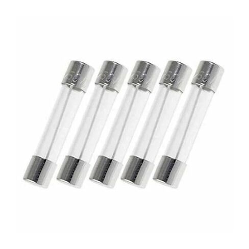 5PCS 6X30mm 100mA 250v Glass Fuse in Kuwait