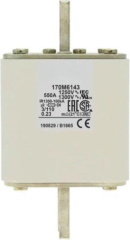 170M6138 170M6139 170M6140 170M6141 170M6142 170M6143 170M6144 170M6145 170M6146 170M6147 170M6148 170M6149 FUSE (170M6142) in Saudi Arabia