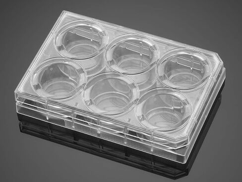 CORNING - Falcon 6-well Clear Flat Bot TC-Treated Mwell Cel l Cult Plt, w/ Lid, IW, Str, CS50 in Saudi Arabia