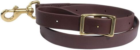 Professionals Choice 1in Chocolate Biothane Tie Down Strap in Saudi Arabia