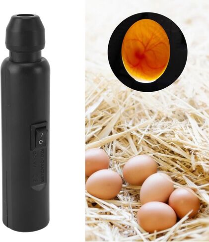 Professional Egg Candler USB Rechargeable Soft Cold Light Egg Hatching Tester Candling Lamp for Science Experiment ABS Material Portable Design in Saudi Arabia