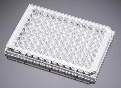Corning-Falcon 96-Well Cell Clear Flat Bot TC TC TC PLT ، W/ LID ، IW ، STR ، CS50 in Saudi Arabia