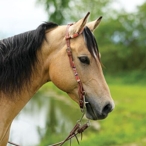 Schneiders مزدوجة S مطرز واحد الأذن headstall | رائع حصان تاك | تصميم أنيق بالخرز | Premium 5/8 "Harness Leather | تصميم أذن مدفوقة قابل للتعديل in Saudi Arabia