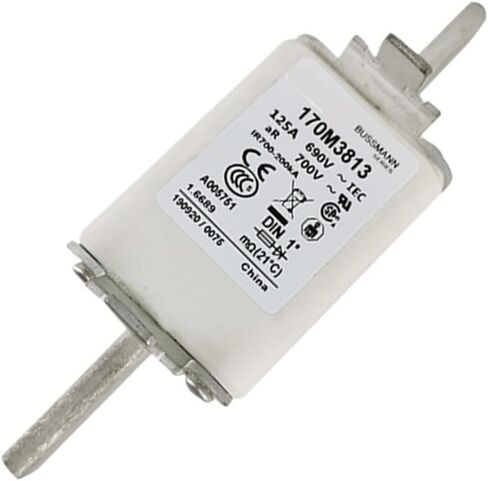 170M3813 Low Voltage Fast-Acting Fuse Pressure Fuse Electronic Components in Kuwait