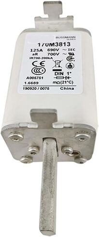 170M3813 Low Voltage Fast-Acting Fuse Pressure Fuse Electronic Components in Kuwait