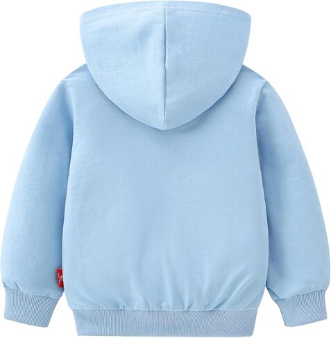 AIWUHE Toddler Boys Girls Hooded Sweatshirt Solid Pullovers Long Sleeve Hoodie Kids Cotton Crewneck Fall Tops 2-6Y Blouse in Kuwait