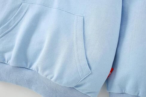 AIWUHE Toddler Boys Girls Hooded Sweatshirt Solid Pullovers Long Sleeve Hoodie Kids Cotton Crewneck Fall Tops 2-6Y Blouse in Kuwait