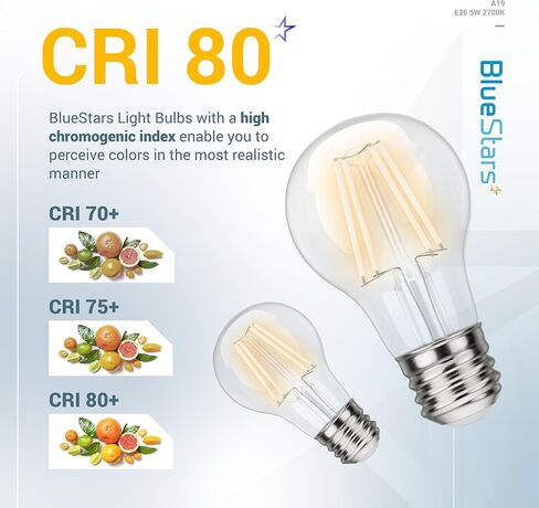 BlueStars G45 E26 Edison LED Filament Globe Bulb 120V 5W (60 Watt Equivalent), 2700K Warm White Light 550lm Non-Dimmable for Indoor Outdoor Holiday Home Decoration - 3 Packs in Saudi Arabia