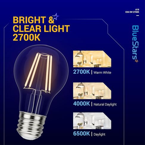 BlueStars G45 E26 Edison LED Filament Globe Bulb 120V 5W (60 Watt Equivalent), 2700K Warm White Light 550lm Non-Dimmable for Indoor Outdoor Holiday Home Decoration - 3 Packs in Saudi Arabia