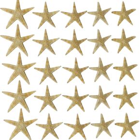 TIHOOD 180PCS 0.4"-1.2" Small Starfish Star Sea Shell Beach Craft