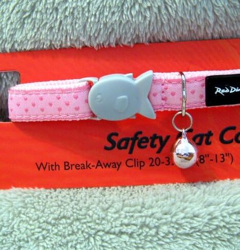 Red Dingo Deisgner Cat Collar, White Stars on Red 12mm x (20-32cm) in Saudi Arabia