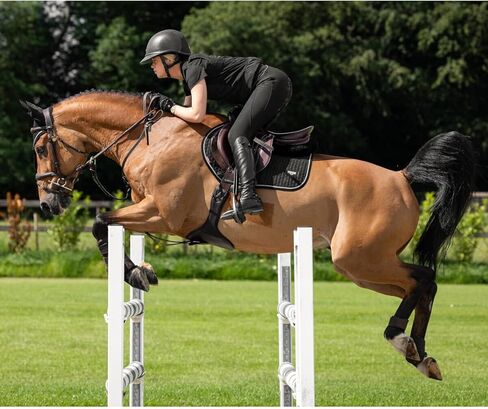 Lemieux Puissance Suede Square Contact Square - Horse Riding Saddle Pad in Kuwait