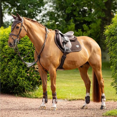 Lemieux Puissance Suede Square Contact Square - Horse Riding Saddle Pad in Kuwait